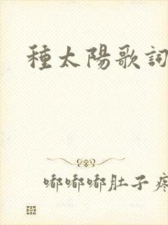 种太阳歌词