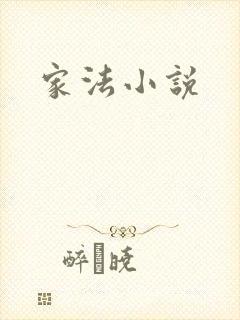 家法小说