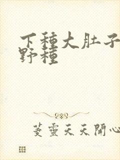 下种大肚子怀孕野种