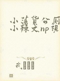 小荡货公厕h文小辣文np视频