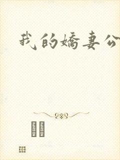 我的娇妻公务员