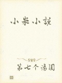 小米小说