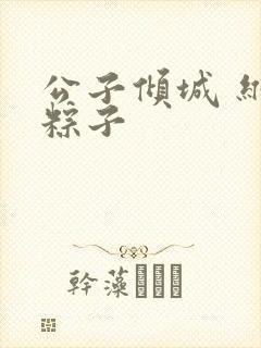 公子倾城 维和粽子