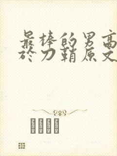 最棒的男高中生于刀鞘原文阅读