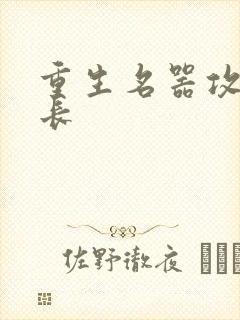 重生名器攻略兄长