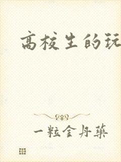 高校生的玩物
