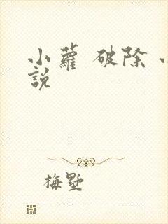 小萝 破除 小说
