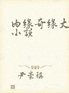 内缘奇缘大团圆小说