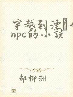 穿越到湮婸世界npc的小说