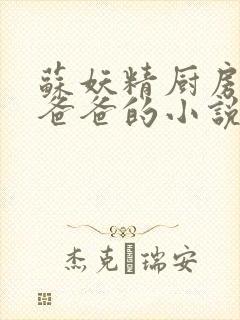 苏妖精厨房爹爹爸爸的小说