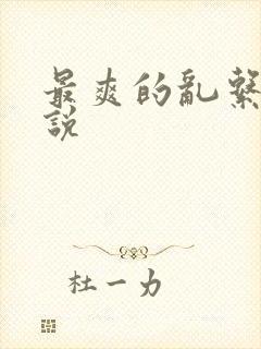 最爽的乱系列小说