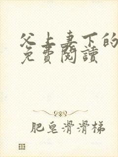 父上妻下的小说免费阅读