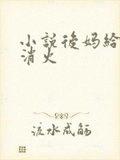 小说后妈给我消消火