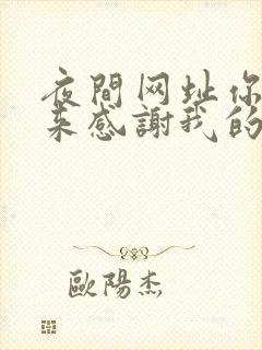 夜间网址你会回来感谢我的