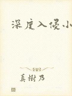 深度入侵小说