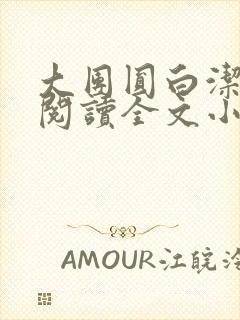 大团圆白洁免费阅读全文小说