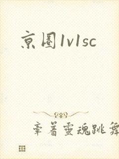 京圈1v1sc