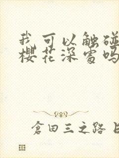 我可以触碰你的樱花深处吗