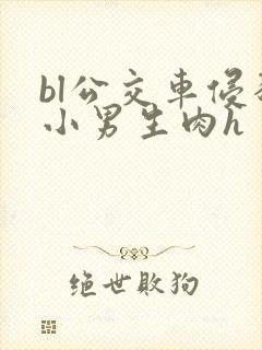 bl公交车侵犯小男生肉h