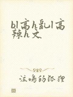 bl高h乱l高辣h文