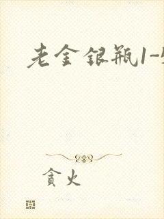老金银瓶1-5