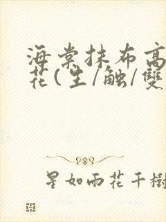 海棠抹布高岭之花(生/触/双)