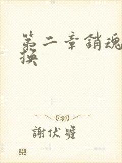 第二章销魂的交换