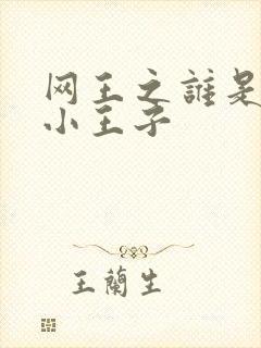 网王之谁是我的小王子