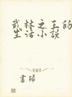 武林之王的退隐生活小说