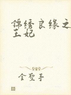 锦绣良缘之北地王妃