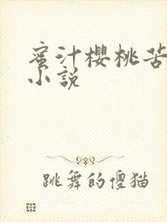 蜜汁樱桃苦咖啡小说