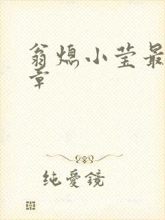 翁熄小莹最新节章