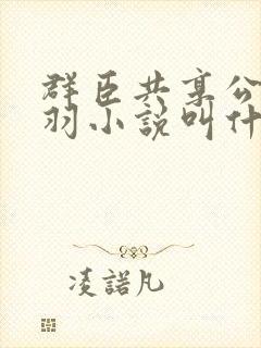 群臣共享公主银羽小说叫什么