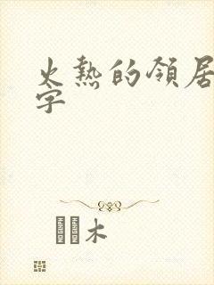 火热的领居中文字