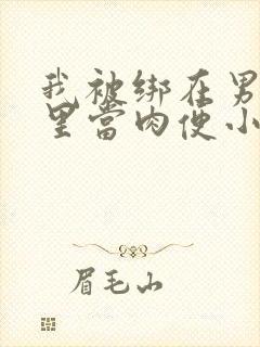 我被绑在男公厕里当肉便小说