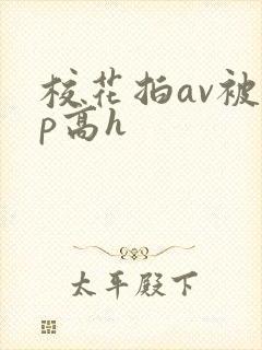 校花拍av被np高h