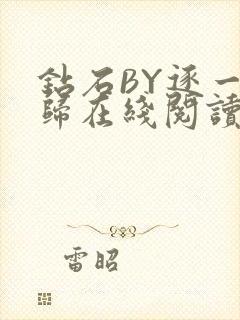 钻石BY逐一而归在线阅读