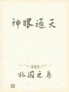 神眼通天