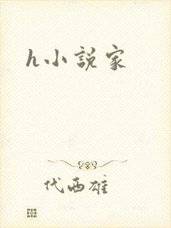 h小说家