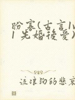 盼寡(古言1v1 先婚后爱)