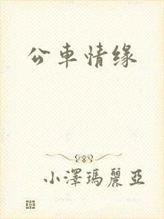 公车情缘