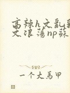 高辣h文乱乳h文浪荡np苏夏