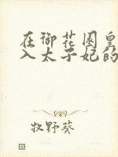 在御花园皇上进入太子妃的小说