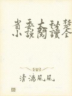 省委大秘楚东恒小说阅读全文