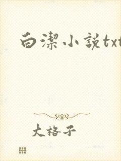 白洁小说txt