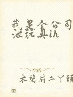 我是全公司的发泄玩具ih