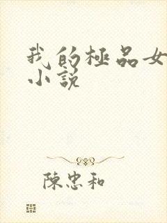 我的极品女老师小说