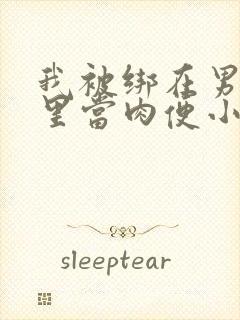 我被绑在男公厕里当肉便小说