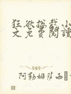 狂欲总裁小说全文免费阅读