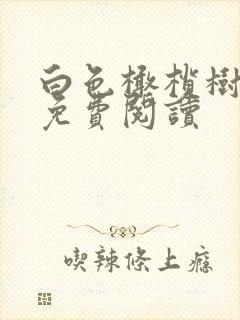 白色橄榄树全文免费阅读